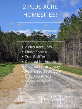 Livingston Land with Cleared Homesite