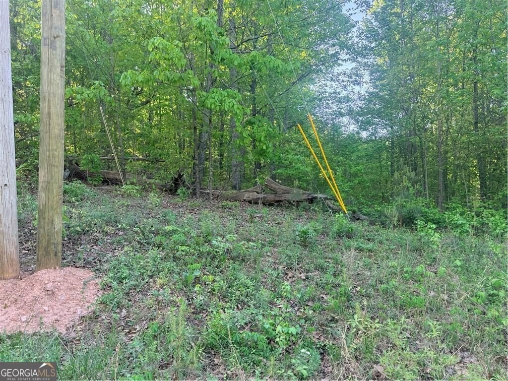 Picture 6