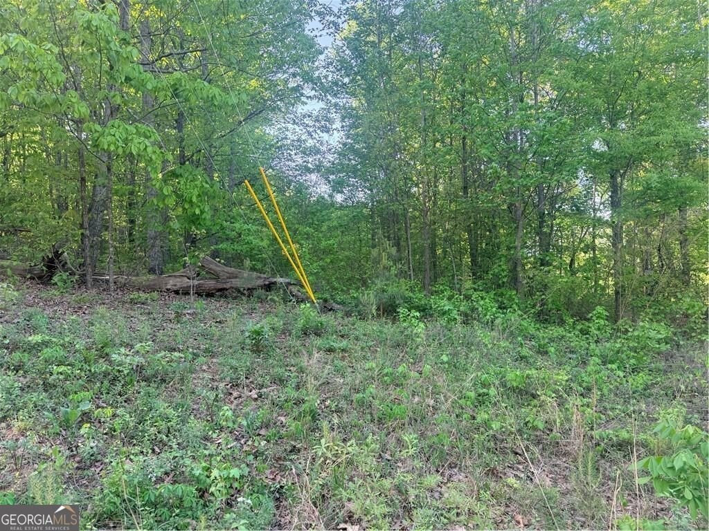 Picture 7