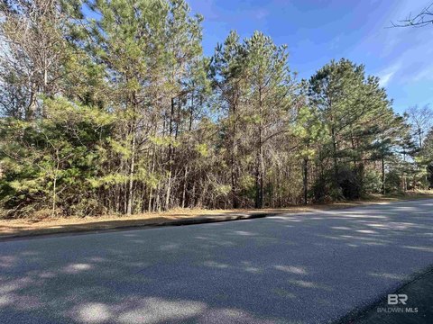 Residential Homesite with Community Amenities