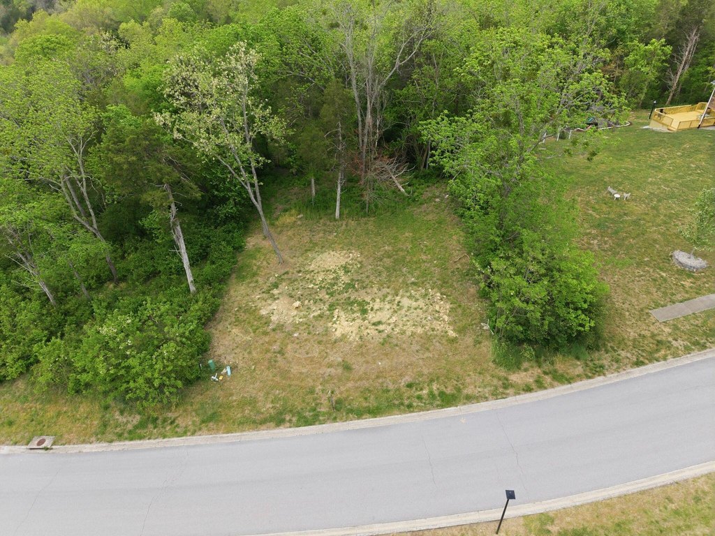 Picture 5