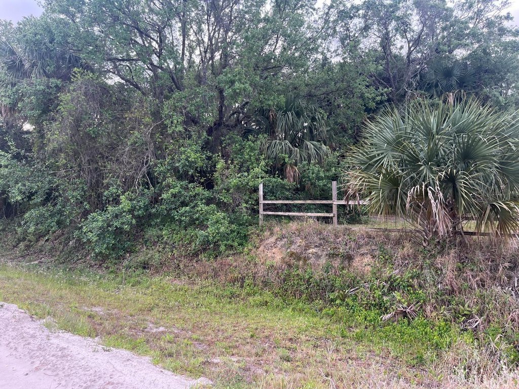 Picture 20