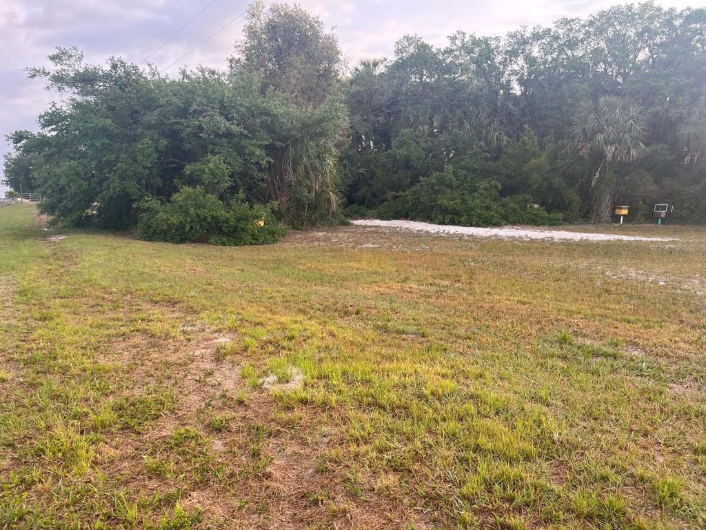 Picture 24
