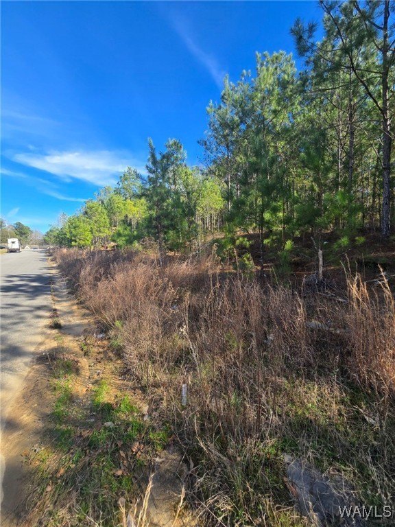 Land in Fosters, Alabama