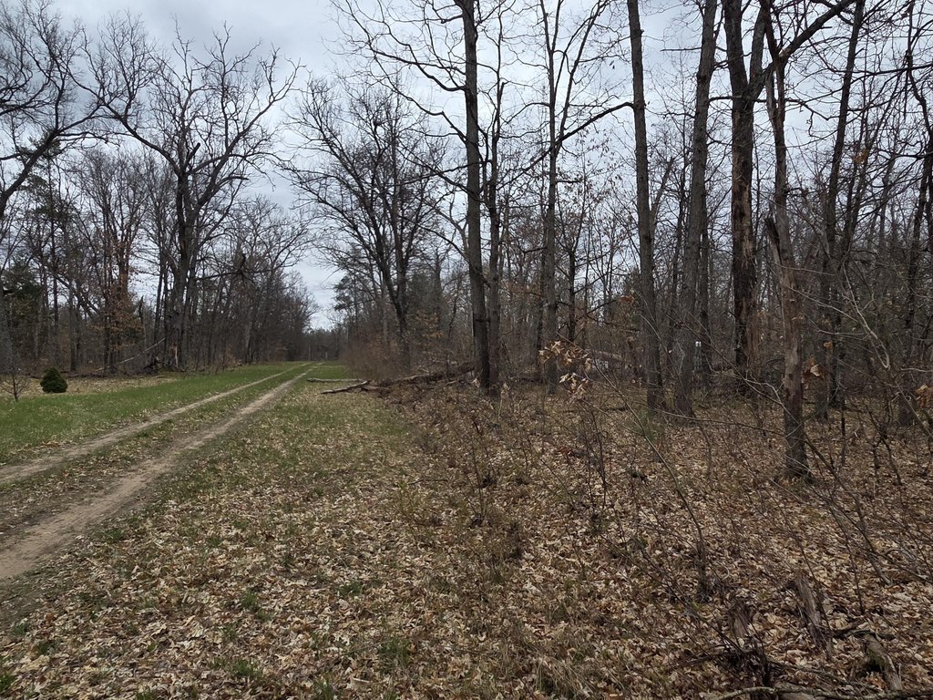 Picture 4