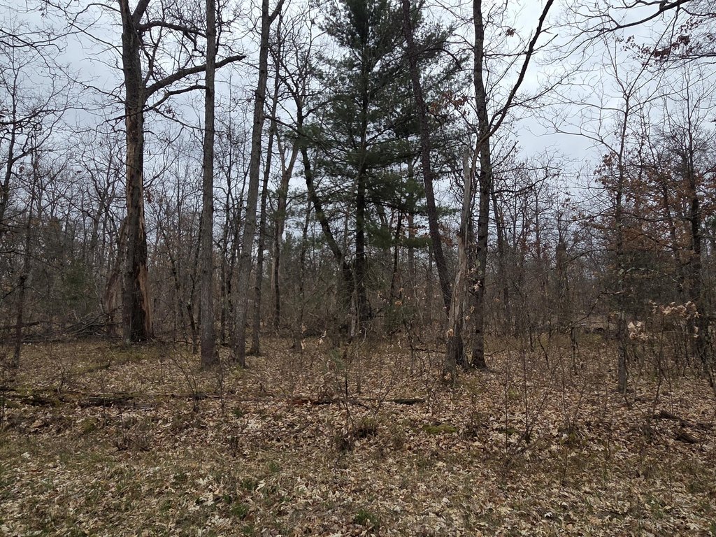 Picture 8