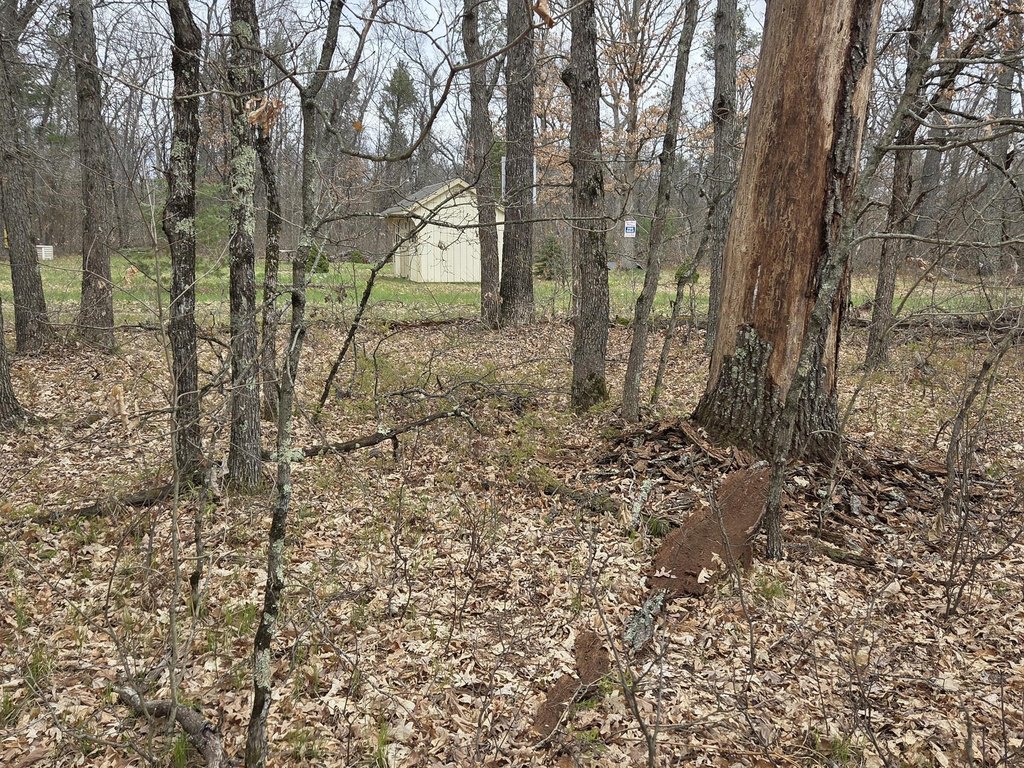 Picture 3