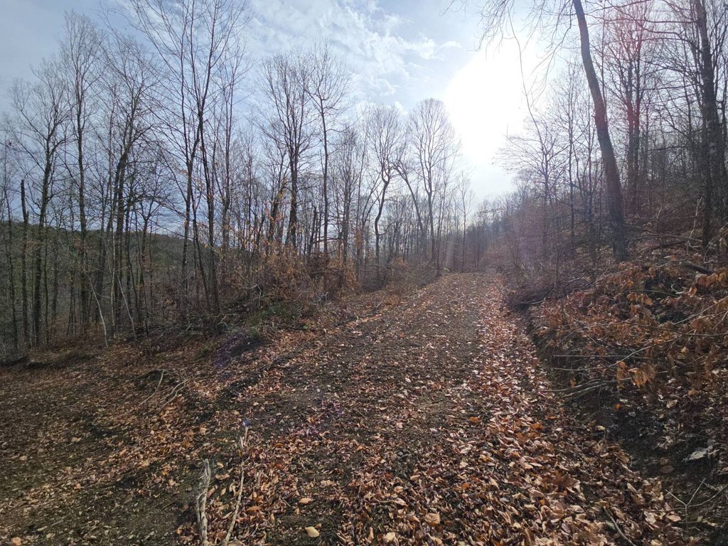 Picture 19