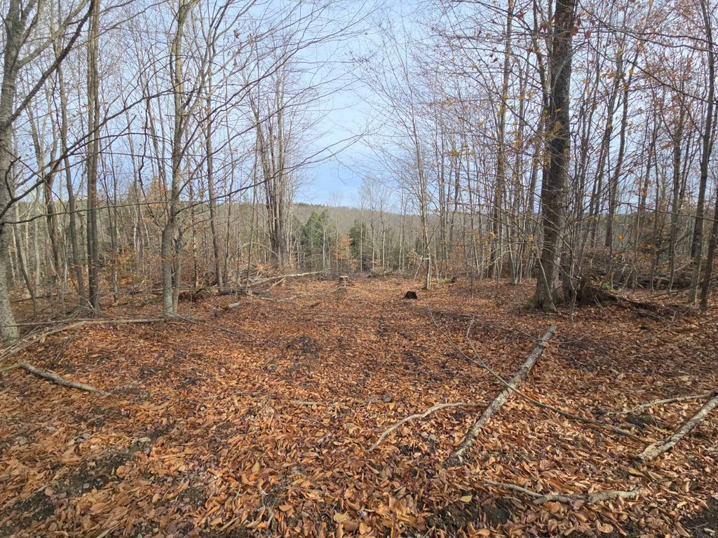 Picture 15