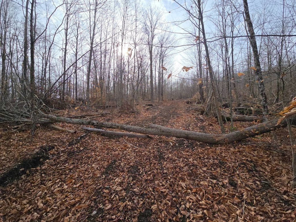 Picture 13