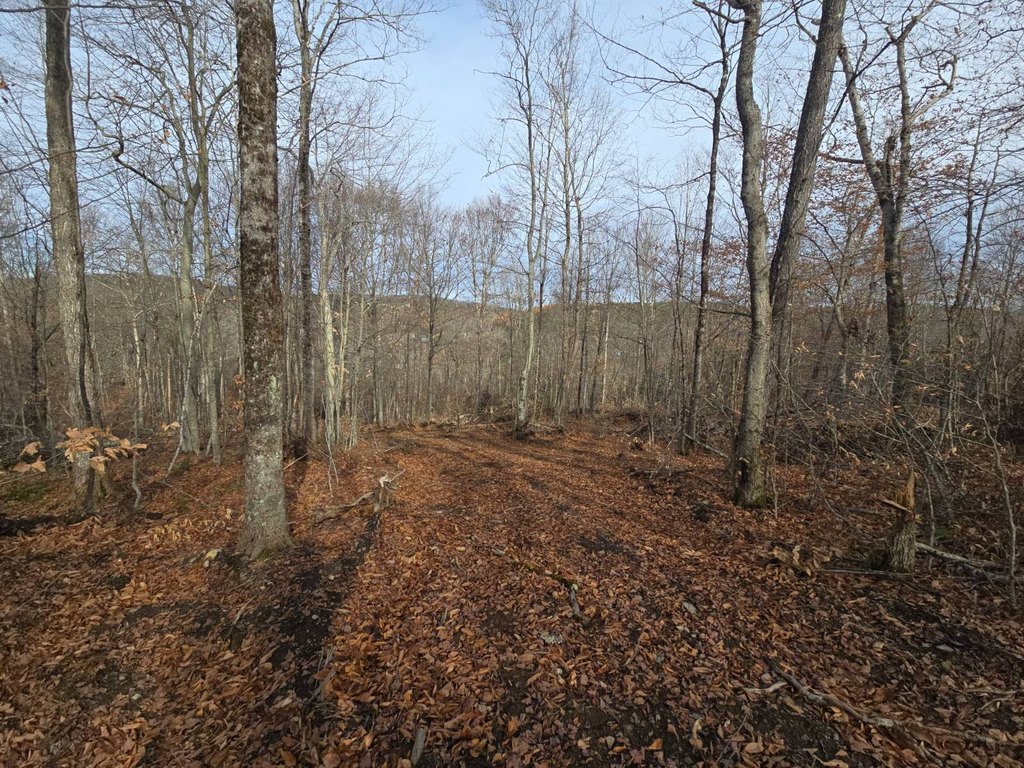 Picture 12