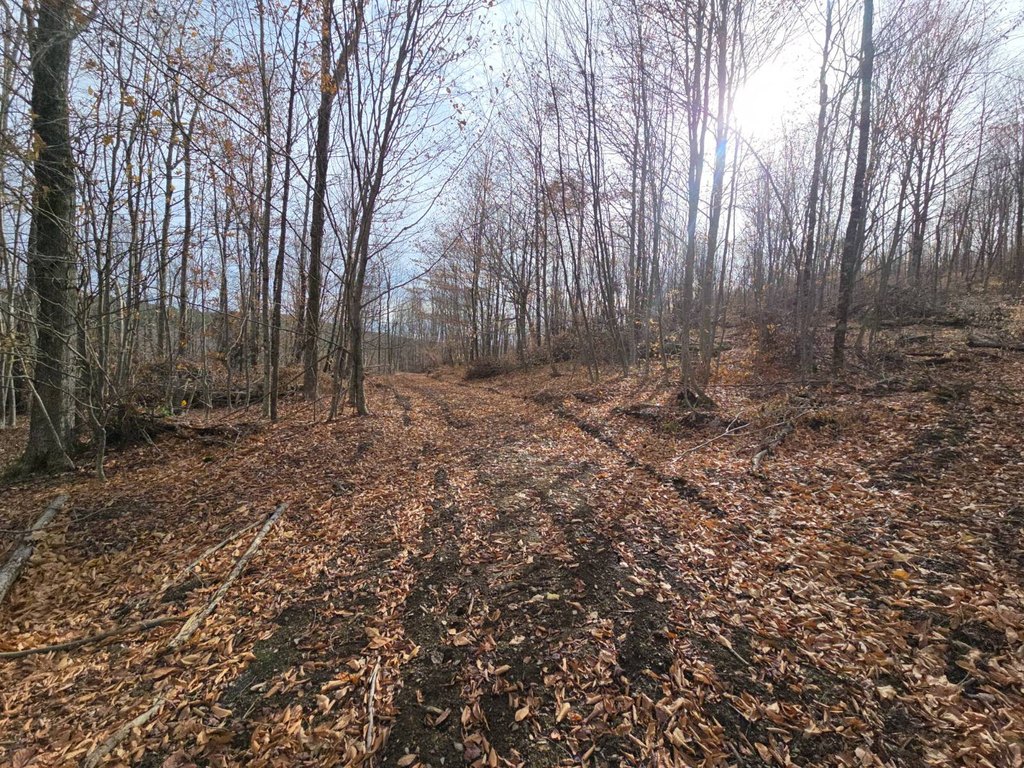 Picture 14