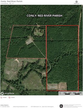 Timberland and Hunting Acreage