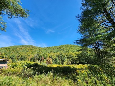 Multi-Use Riverfront Land Parcel