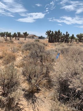 Phelan Land Near Highway