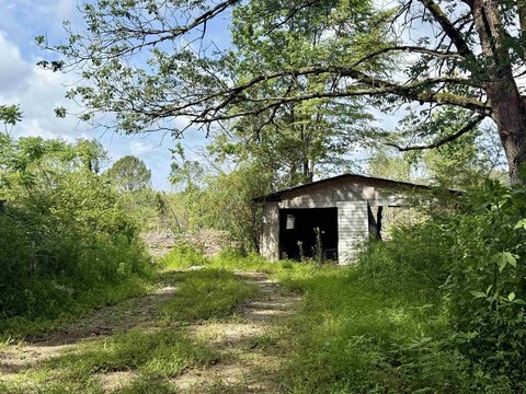 LAND - Florence, AL