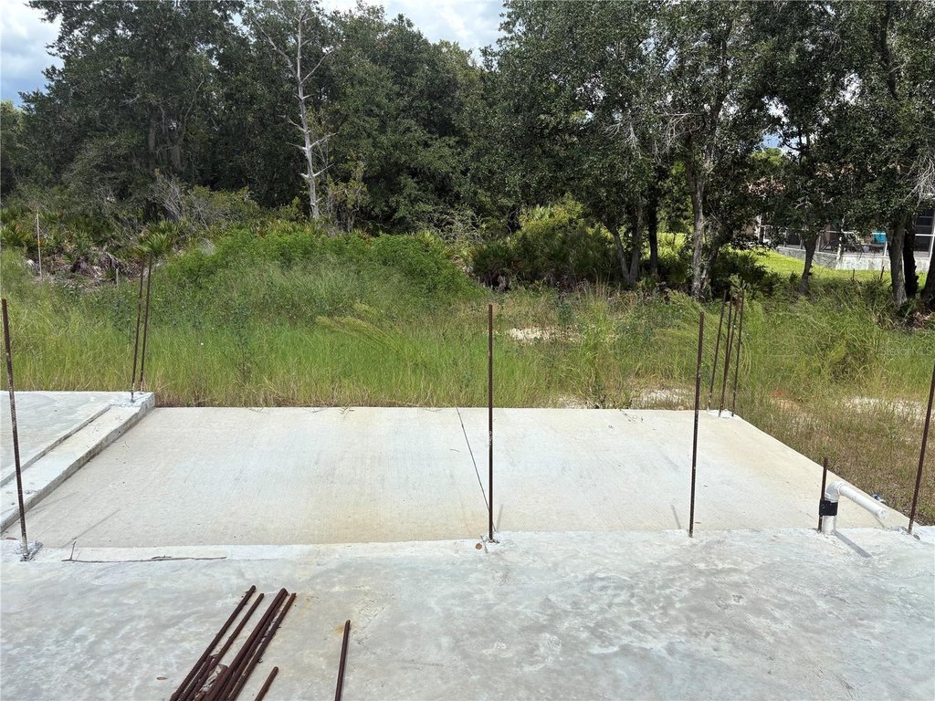 Picture 3