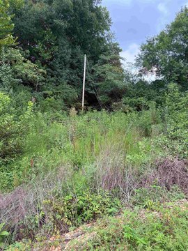 LAND - Waterloo, AL