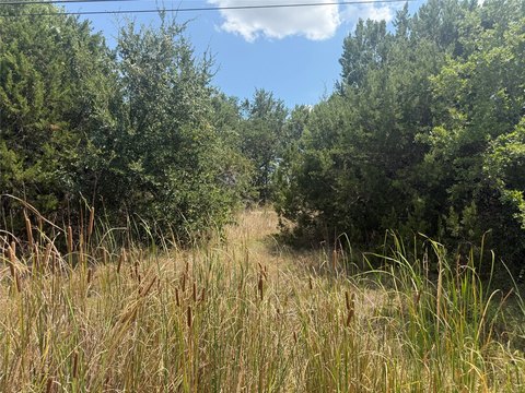 LAND - Granbury, TX