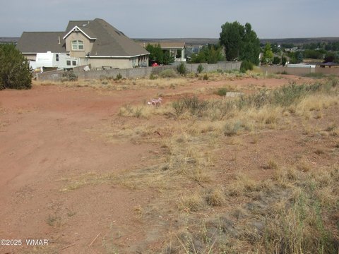 Corner Lot in Snowflake, AZ