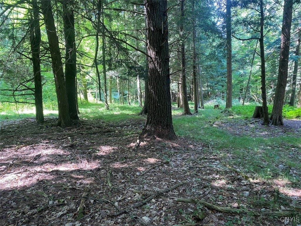 98 Acres Hunting/Recreational Land