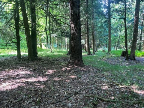 98 Acres Hunting/Recreational Land