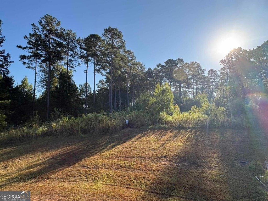 Picture 4