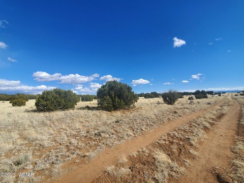 Land in Concho, Arizona