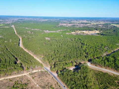 Poplarville Land with Road Frontage