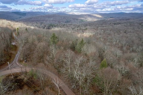 Wooded Hunting Land Parcel