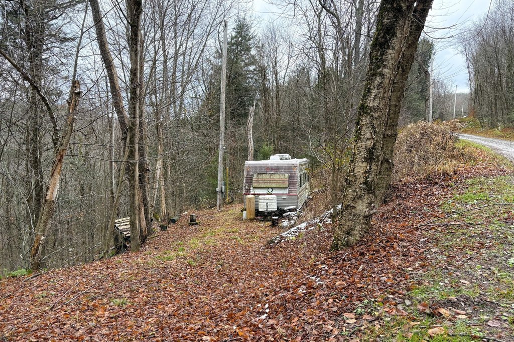 Picture 2
