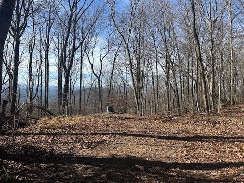 Ellijay Vacant Lot with Views