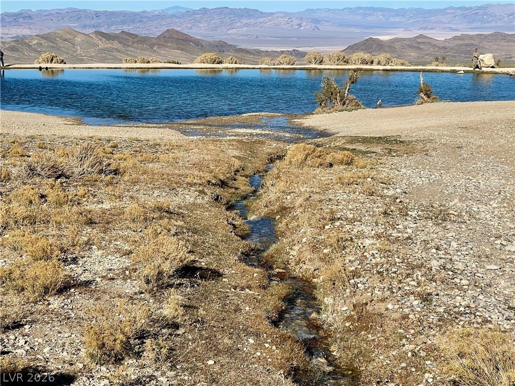 Picture 41