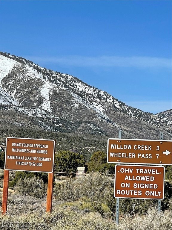 Picture 29