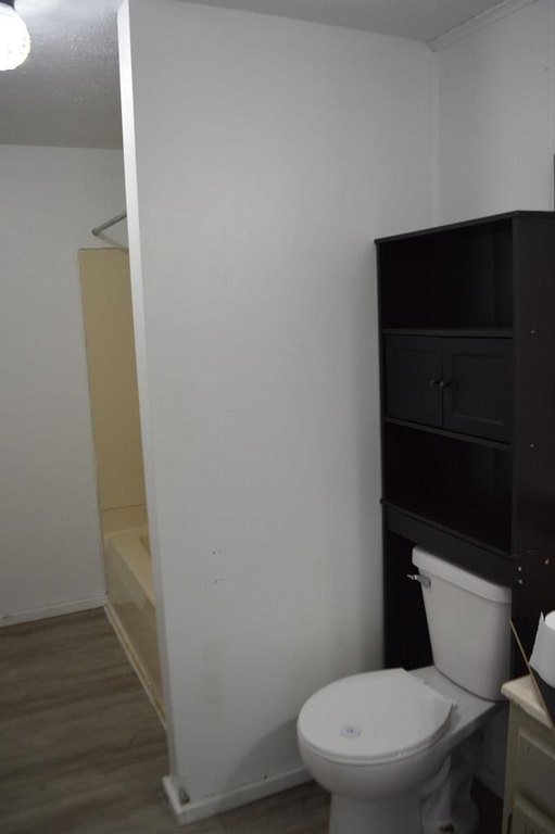 Picture 15