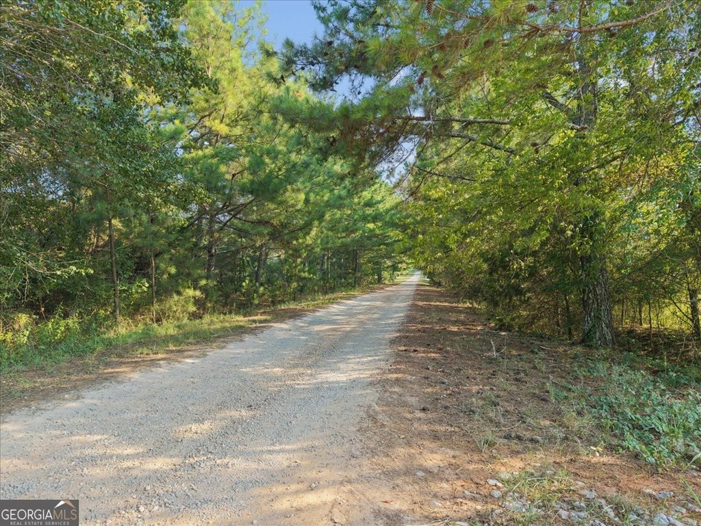 Picture 24