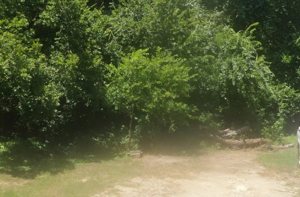 Picture 2