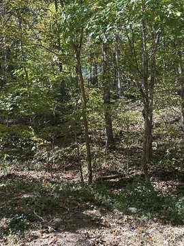 Land, Russellville, TN