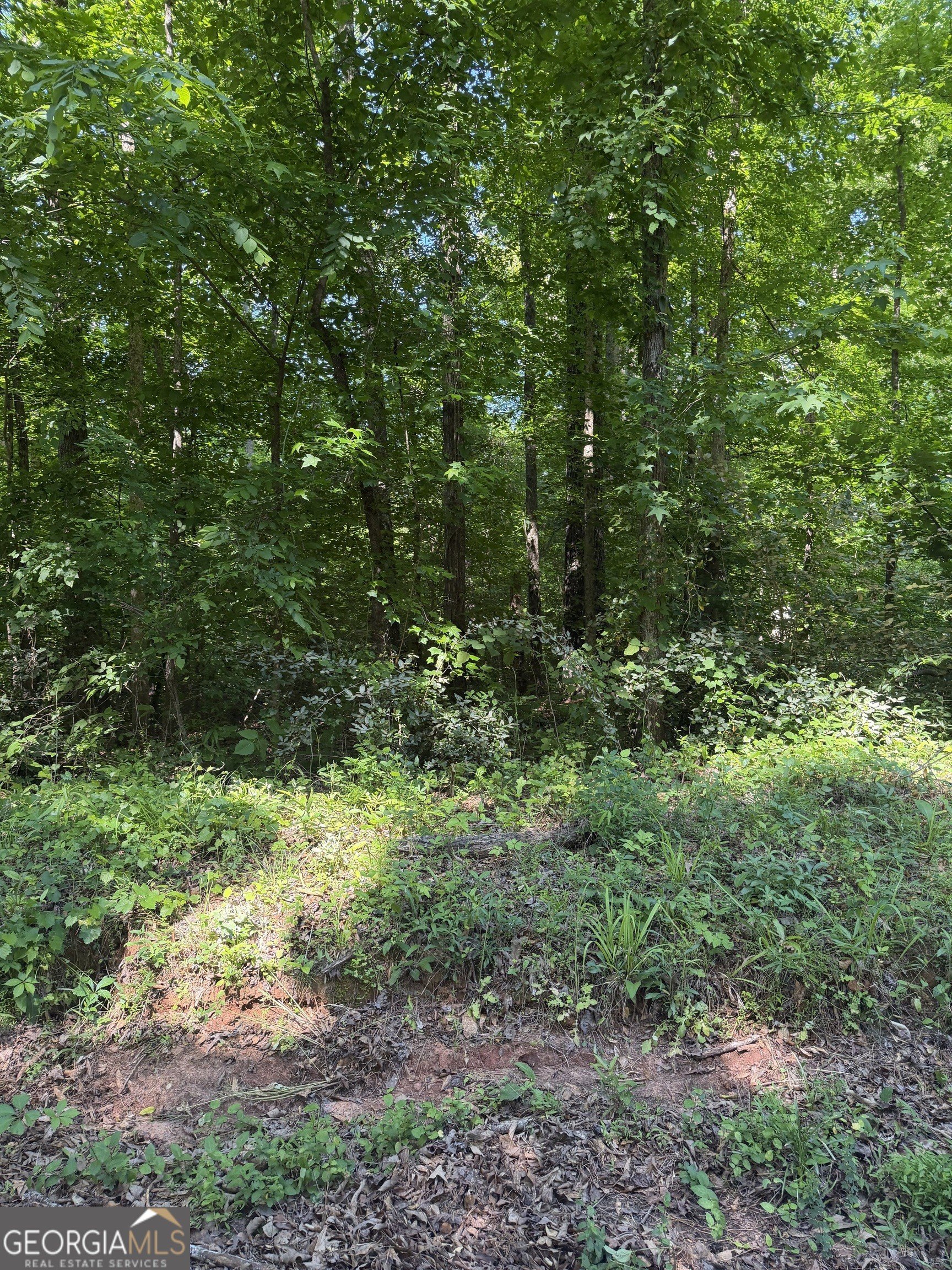 Land Near Jackson Lake