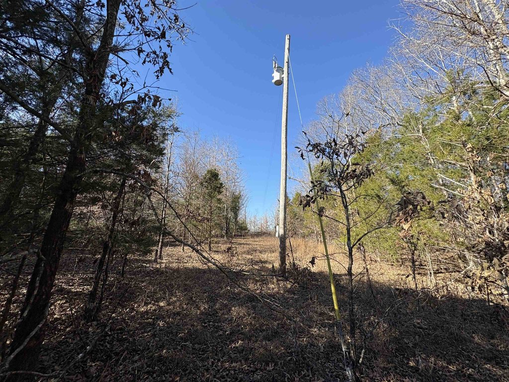 Picture 34