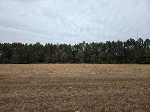 Cordele Land for Residential Development