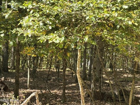 Land in Tink Wig Community