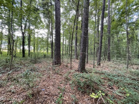 Newton, MS Land For Sale