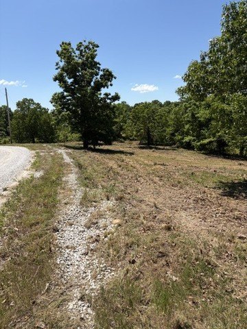 Picture 3