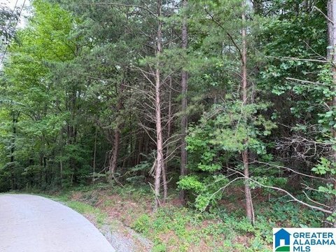 Bessemer Acreage for Residential Development