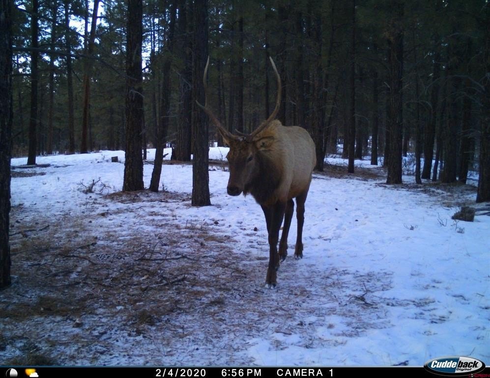 Picture 30