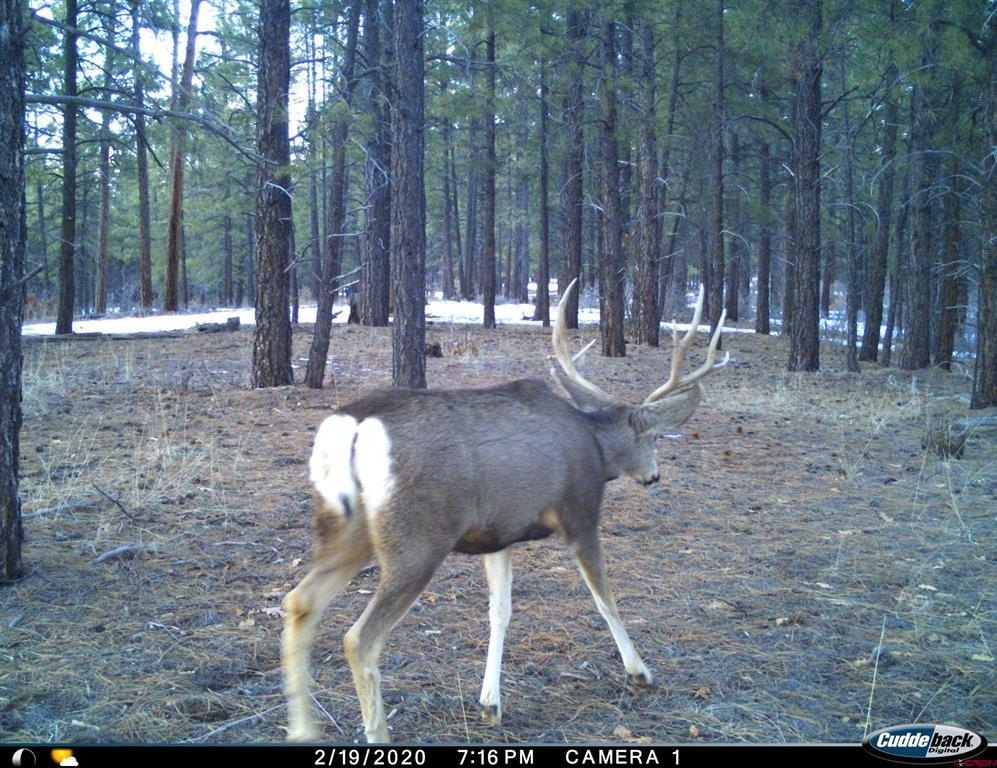 Picture 31
