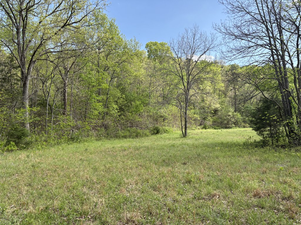 Picture 8