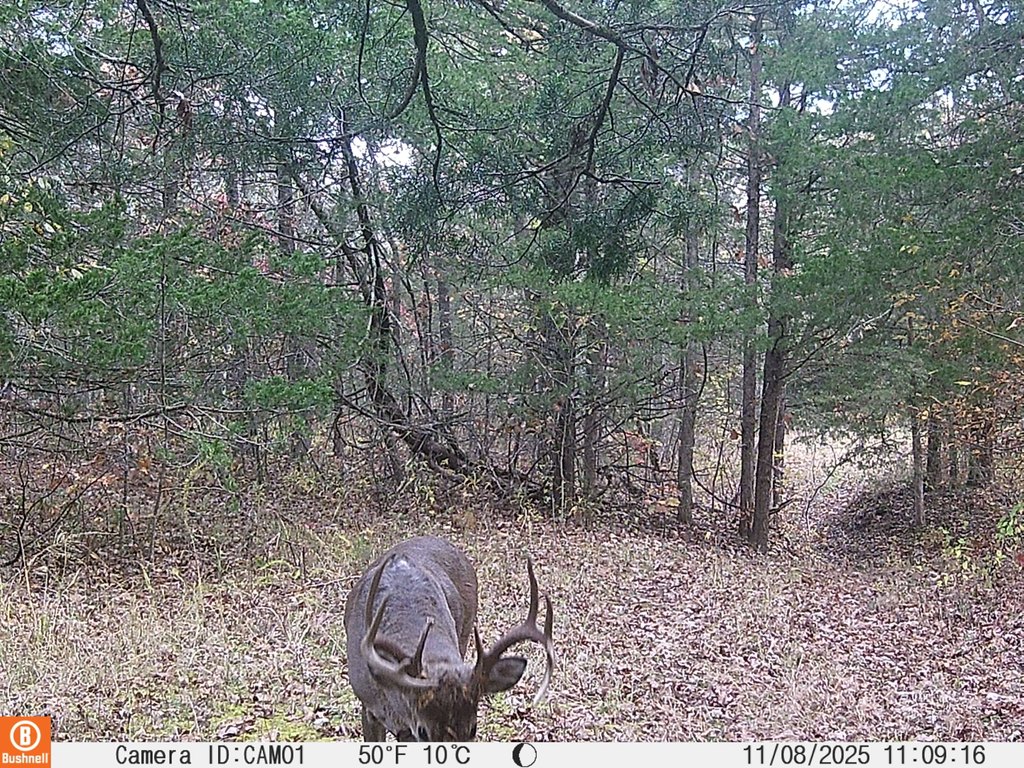 Picture 18