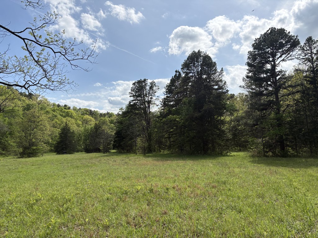 Picture 10
